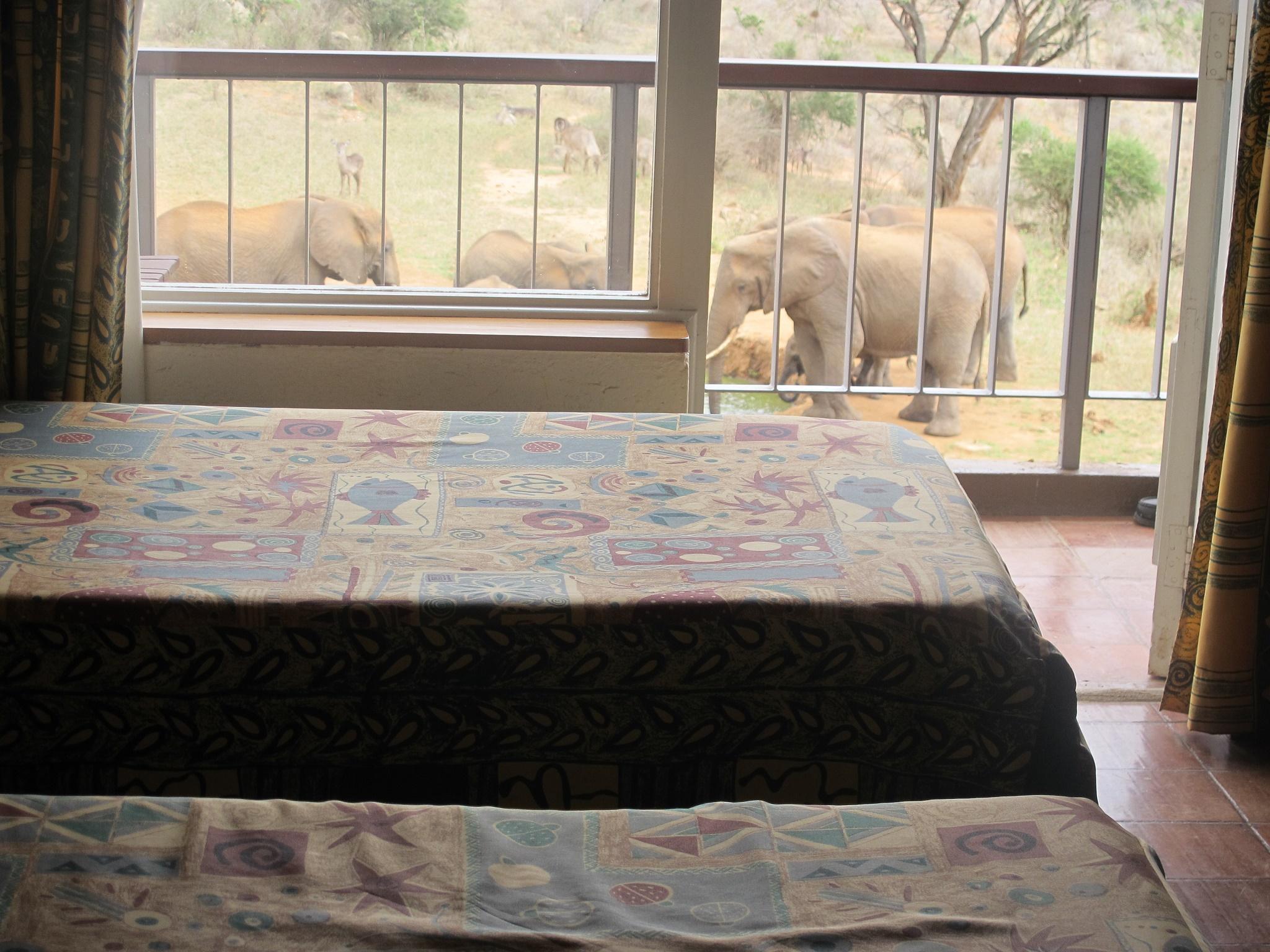 Ngulia Safari Lodge Tsavo Luaran gambar