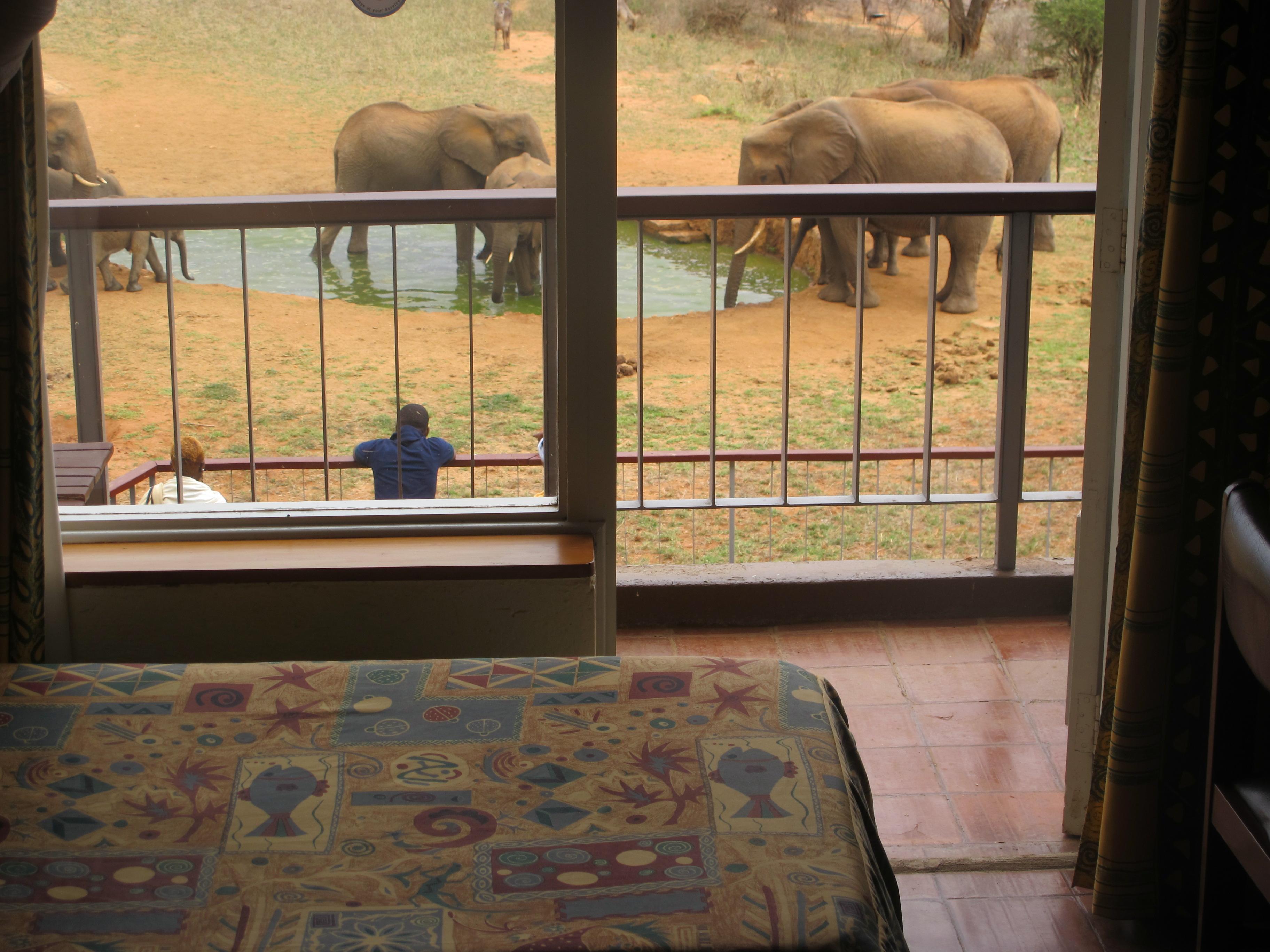 Ngulia Safari Lodge Tsavo Luaran gambar