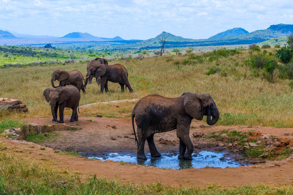 Ngulia Safari Lodge Tsavo Luaran gambar