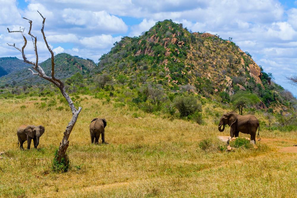 Ngulia Safari Lodge Tsavo Luaran gambar