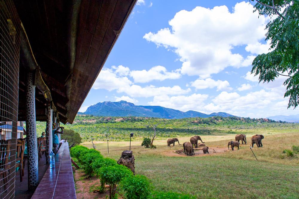 Ngulia Safari Lodge Tsavo Luaran gambar