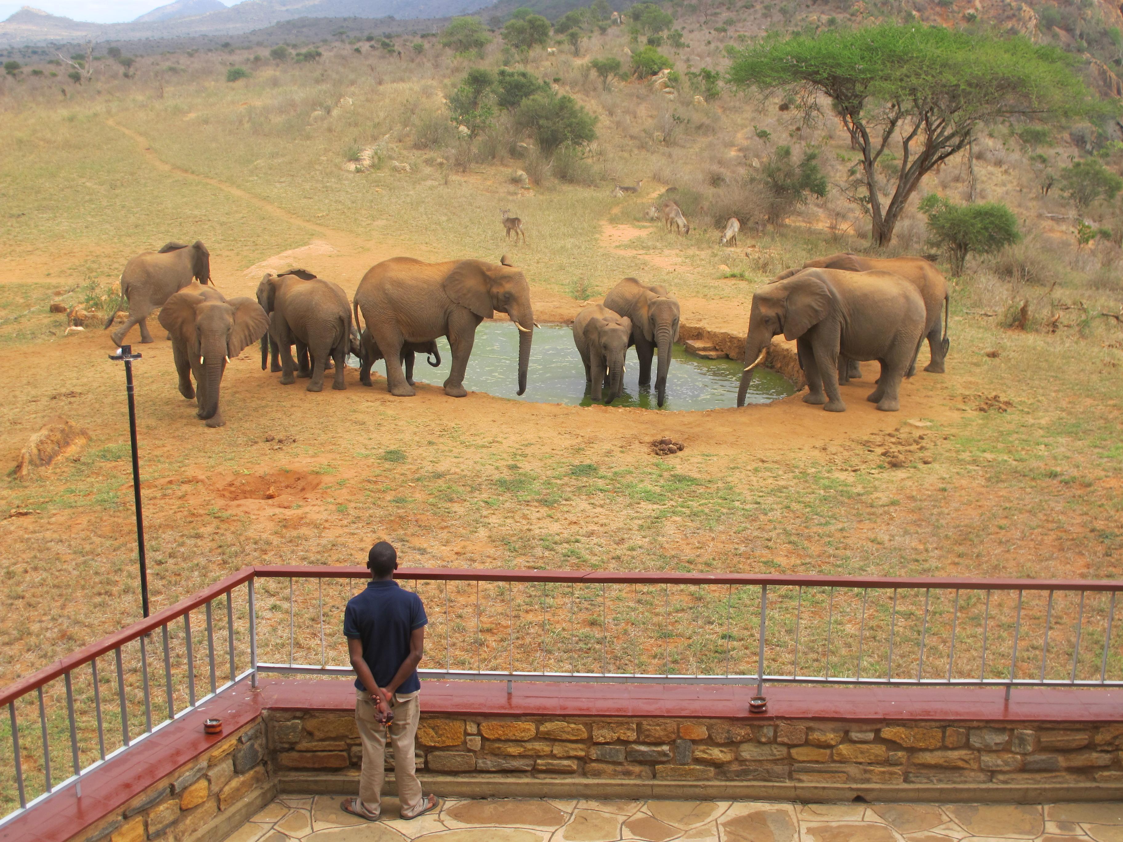 Ngulia Safari Lodge Tsavo Luaran gambar